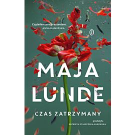 Czas zatrzymany (e-book)