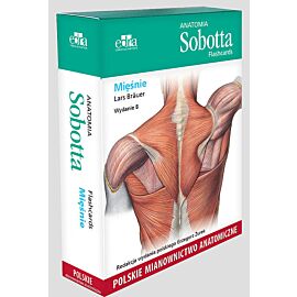 Anatomia Sobotta Flashcards. Mięśnie. Polskie mianownictwo anatomiczne
