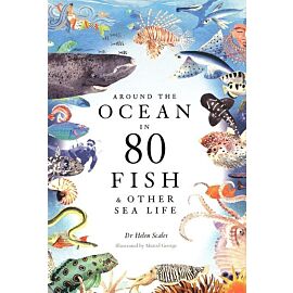 Around the Ocean in 80 Fish and other Sea Life