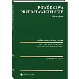 Powództwa przedstawicielskie Komentarz
