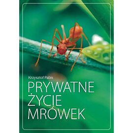 Prywatne życie mrówek