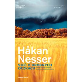 Sieć o drobnych oczkach (e-book)