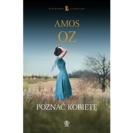 Poznać kobietę (e-book)