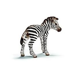 Zebra źrebię - 14393