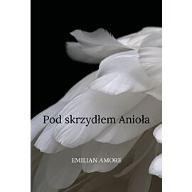 Pod skrzydłem Anioła (e-book)