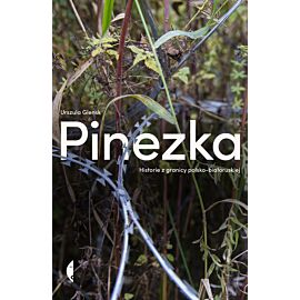 Pinezka (e-book)