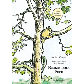 Niedźwiodek Puch
