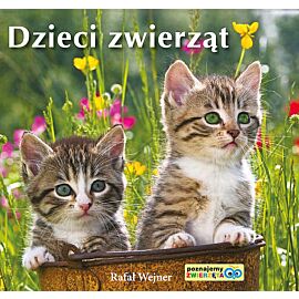 Dzieci zwierząt Poznajemy zwierzęta