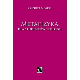 Metafizyka dla studentów teologii (e-book)