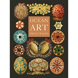 Ocean Art: From the Shore to the Deep