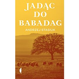 Jadąc do Babadag (e-book)
