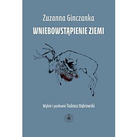 Wniebowstąpienie ziemi