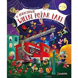 W Robaczkowie. Wielki pożar łąki.