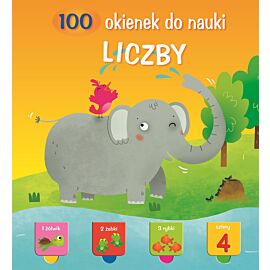 Liczby. 100 okienek do nauki