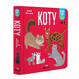 Koty
