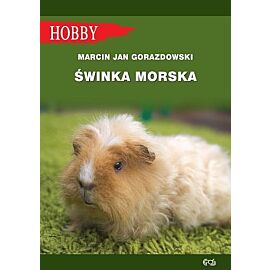 Świnka morska
