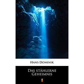 Das stählerne Geheimnis (e-book)