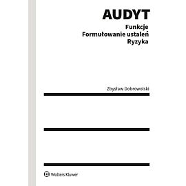 Audyt. Funkcje. Formułowanie ustaleń. Ryzyka