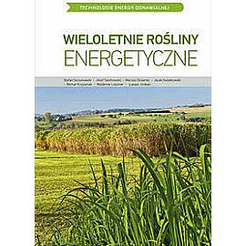 Wieloletnie rośliny energetyczne