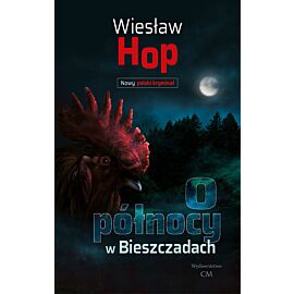 O północy w bieszczadach