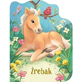 Źrebak