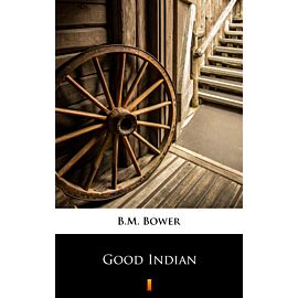 Good Indian (e-book)