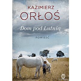 Dom pod Lutnią