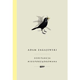 Substancja nieuporządkowana (e-book)