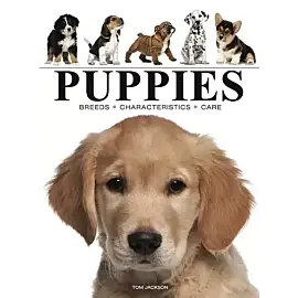 Puppies