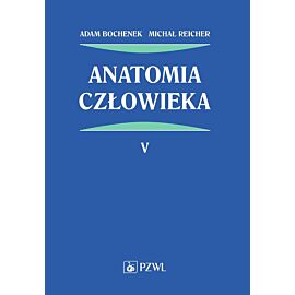 Anatomia człowieka. Tom 5