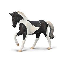 COLLECTA OGIER CIEPŁOKRWISTY CZARNY TOBIANO