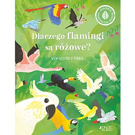Dlaczego flamingi są różowe?