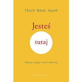 Jesteś tutaj (e-book)