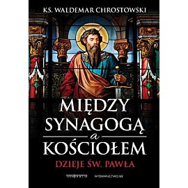 Między synagogą a kościołem dzieje św pawła