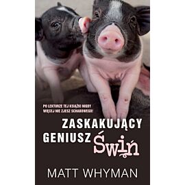 Zaskakujacy geniusz świń