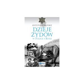 Dzieje Żydów w Polsce i Rosji oprawa twarda