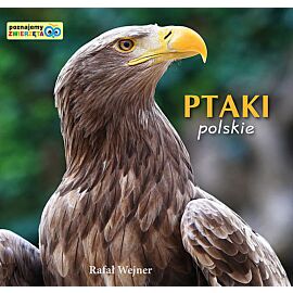 Ptaki polskie