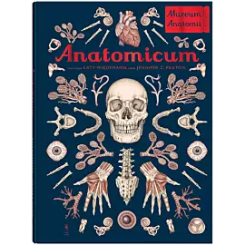 Anatomicum