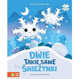 Dwie takie same śnieżynki