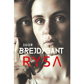 Rysa