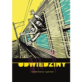 Odwiedziny