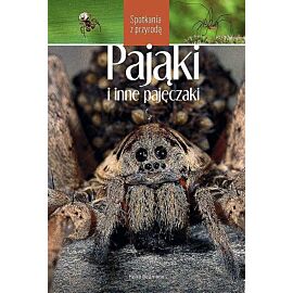Pająki i inne pajęczaki. Spotkania z przyrodą