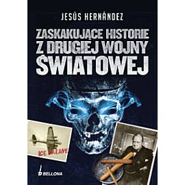 Zaskakujące historie z drugiej wojny światowej