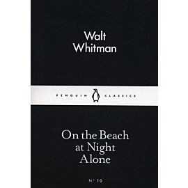On the Beach at Night Alone