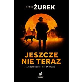 Jeszcze nie teraz (e-book)