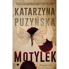 Motylek
