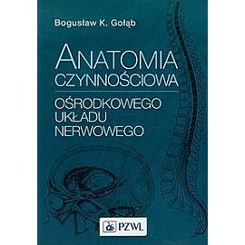 Anatomia czynnościowa ośrodkowego układu nerwowego
