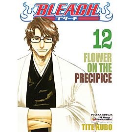 Bleach - 12
