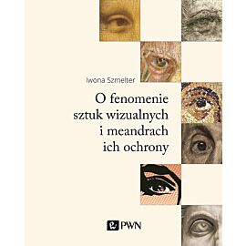 O fenomenie sztuk wizualnych i meandrach ich ochrony