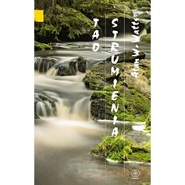 Tao strumienia